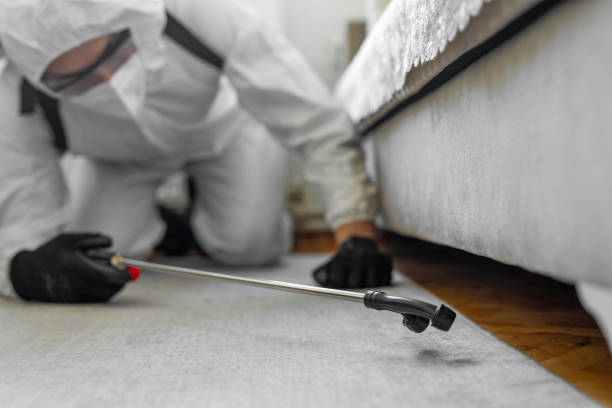 Professional Termite Control technician working in Lena, IL