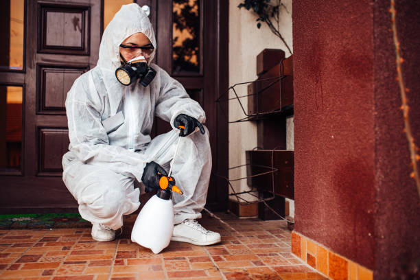 Reliable Termite Control contractor in Lena, IL by Nex Pest Control